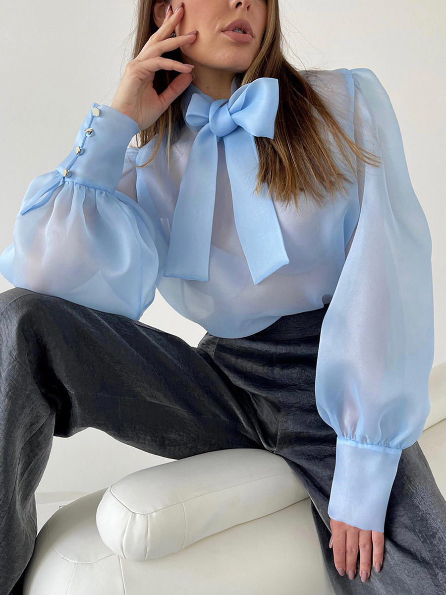 Nowa Elegancka Przezroczysta B – Mesh Top Layering recenzja i cena